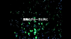スクリーンショット（2010-10-29 0.42.46）.png